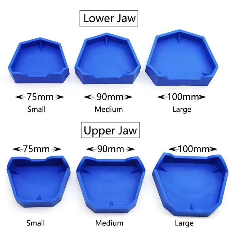 2/6 個歯科モデルベースシリコン石膏モデルベース義歯印象ト - Model Kit Tool Set のレビューと価格